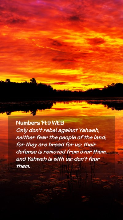 Picture 02 - Numbers 14:9 WEB Mobile Phone Wallpaper - Only don't rebel against Yahweh, neither fear the - Mobile Bible Verse Wallpaper