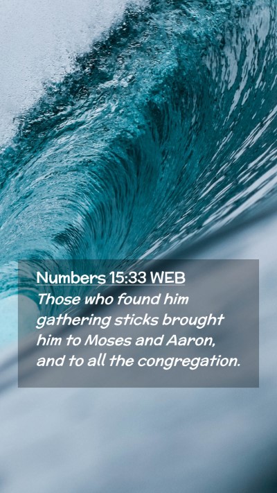 Picture 02 - Numbers 15:33 WEB Mobile Phone Wallpaper - Those who found him gathering sticks brought him - Mobile Bible Verse Wallpaper