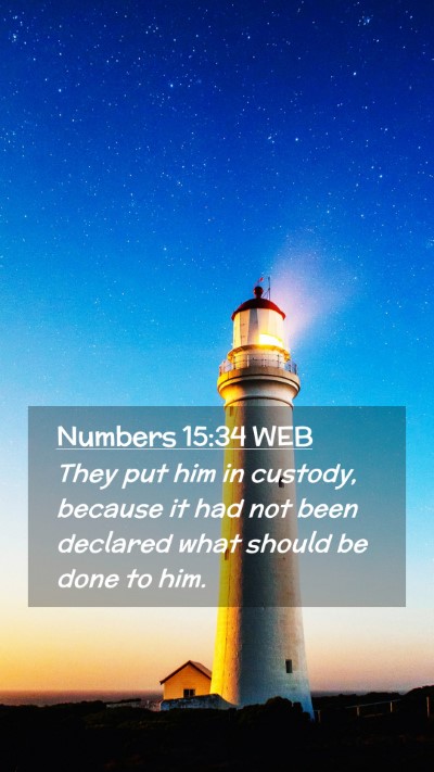 Picture 02 - Numbers 15:34 WEB Mobile Phone Wallpaper - They put him in custody, because it had not been - Mobile Bible Verse Wallpaper