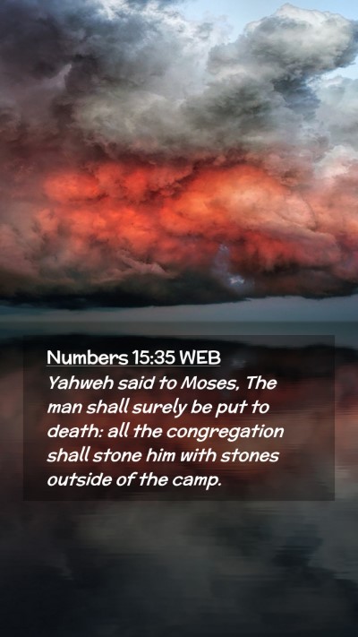 Picture 02 - Numbers 15:35 WEB Mobile Phone Wallpaper - Yahweh said to Moses, The man shall surely be put - Mobile Bible Verse Wallpaper