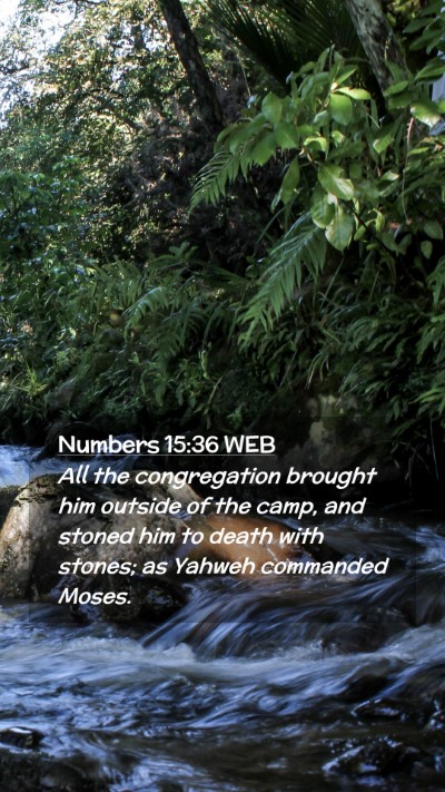 Picture 02 - Numbers 15:36 WEB Mobile Phone Wallpaper - All the congregation brought him outside of the - Mobile Bible Verse Wallpaper
