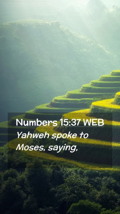 Picture 02 - Numbers 15:37 WEB Mobile Phone Wallpaper - Yahweh spoke to Moses, - Mobile Bible Verse Wallpaper