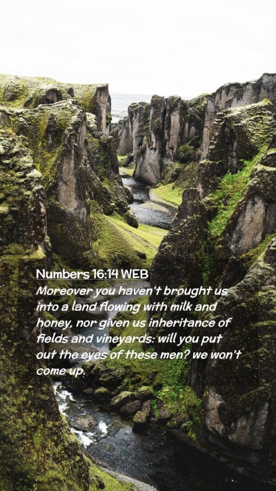 Picture 02 - Numbers 16:14 WEB Mobile Phone Wallpaper - Moreover you haven't brought us into a land - Mobile Bible Verse Wallpaper
