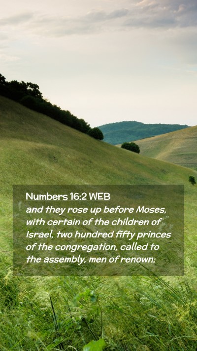Picture 02 - Numbers 16:2 WEB Mobile Phone Wallpaper - and they rose up before Moses, with certain of - Mobile Bible Verse Wallpaper