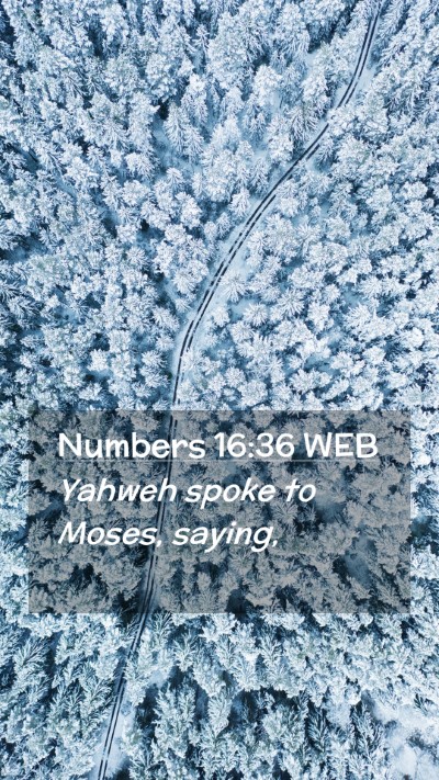 Picture 02 - Numbers 16:36 WEB Mobile Phone Wallpaper - Yahweh spoke to Moses, - Mobile Bible Verse Wallpaper