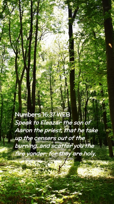 Picture 02 - Numbers 16:37 WEB Mobile Phone Wallpaper - Speak to Eleazar the son of Aaron the priest, - Mobile Bible Verse Wallpaper