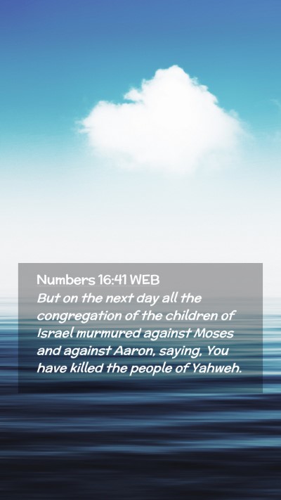 Picture 02 - Numbers 16:41 WEB Mobile Phone Wallpaper - But on the next day all the congregation of the - Mobile Bible Verse Wallpaper