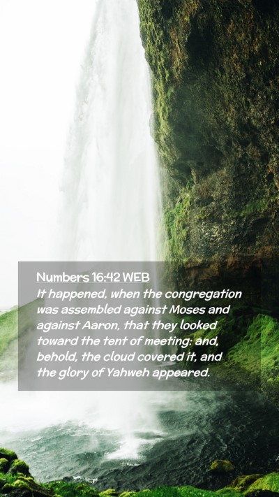 Picture 02 - Numbers 16:42 WEB Mobile Phone Wallpaper - It happened, when the congregation was assembled - Mobile Bible Verse Wallpaper