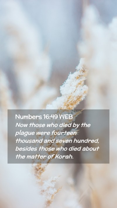 Picture 02 - Numbers 16:49 WEB Mobile Phone Wallpaper - Now those who died by the plague were fourteen - Mobile Bible Verse Wallpaper