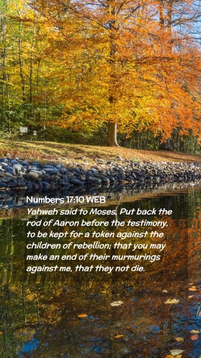 Picture 02 - Numbers 17:10 WEB Mobile Phone Wallpaper - Yahweh said to Moses, Put back the rod of Aaron - Mobile Bible Verse Wallpaper
