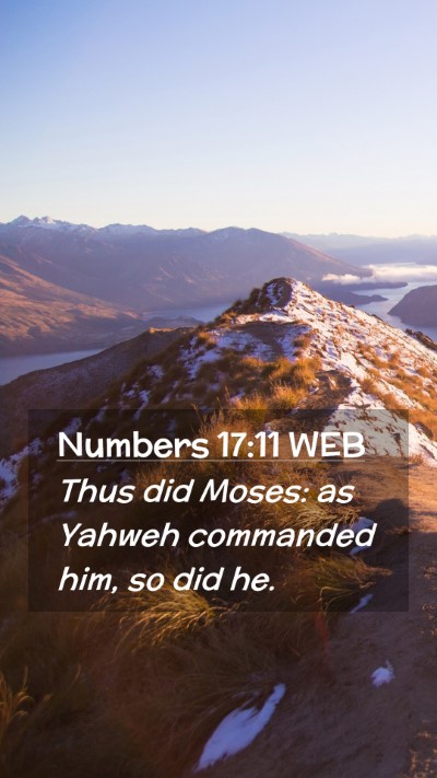Picture 02 - Numbers 17:11 WEB Mobile Phone Wallpaper - Thus did Moses: as Yahweh commanded him, so did - Mobile Bible Verse Wallpaper