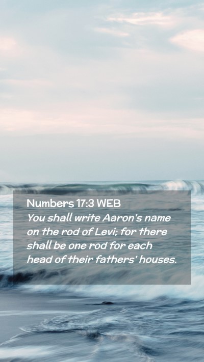 Picture 02 - Numbers 17:3 WEB Mobile Phone Wallpaper - You shall write Aaron's name on the rod of Levi; - Mobile Bible Verse Wallpaper