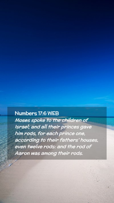Picture 02 - Numbers 17:6 WEB Mobile Phone Wallpaper - Moses spoke to the children of Israel; and all - Mobile Bible Verse Wallpaper