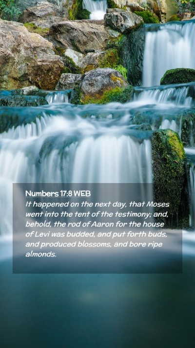 Picture 02 - Numbers 17:8 WEB Mobile Phone Wallpaper - It happened on the next day, that Moses went into - Mobile Bible Verse Wallpaper