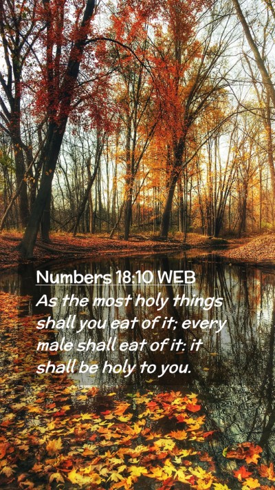 Picture 02 - Numbers 18:10 WEB Mobile Phone Wallpaper - As the most holy things shall you eat of it; - Mobile Bible Verse Wallpaper