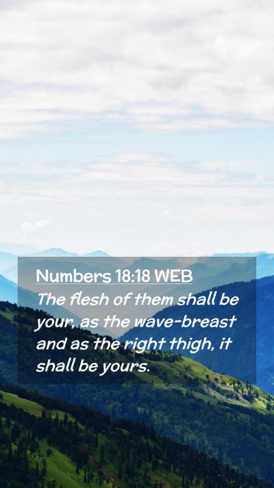 Picture 02 - Numbers 18:18 WEB Mobile Phone Wallpaper - The flesh of them shall be your, as the - Mobile Bible Verse Wallpaper