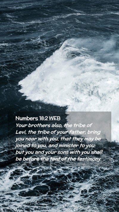 Picture 02 - Numbers 18:2 WEB Mobile Phone Wallpaper - Your brothers also, the tribe of Levi, the tribe - Mobile Bible Verse Wallpaper