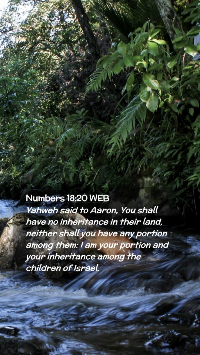 Picture 02 - Numbers 18:20 WEB Mobile Phone Wallpaper - Yahweh said to Aaron, You shall have no - Mobile Bible Verse Wallpaper