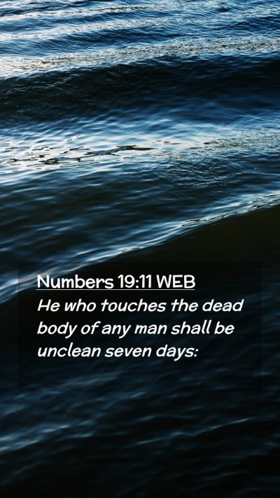 Picture 02 - Numbers 19:11 WEB Mobile Phone Wallpaper - He who touches the dead body of any man shall be - Mobile Bible Verse Wallpaper