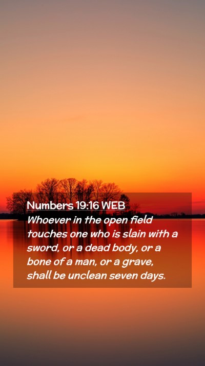 Picture 02 - Numbers 19:16 WEB Mobile Phone Wallpaper - Whoever in the open field touches one who is - Mobile Bible Verse Wallpaper