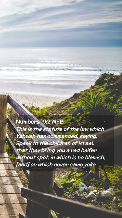 Picture 02 - Numbers 19:2 WEB Mobile Phone Wallpaper - This is the statute of the law which Yahweh has - Mobile Bible Verse Wallpaper
