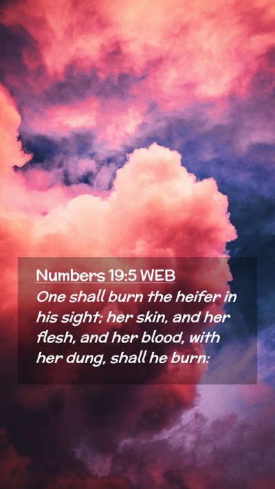 Picture 02 - Numbers 19:5 WEB Mobile Phone Wallpaper - One shall burn the heifer in his sight; her skin, - Mobile Bible Verse Wallpaper