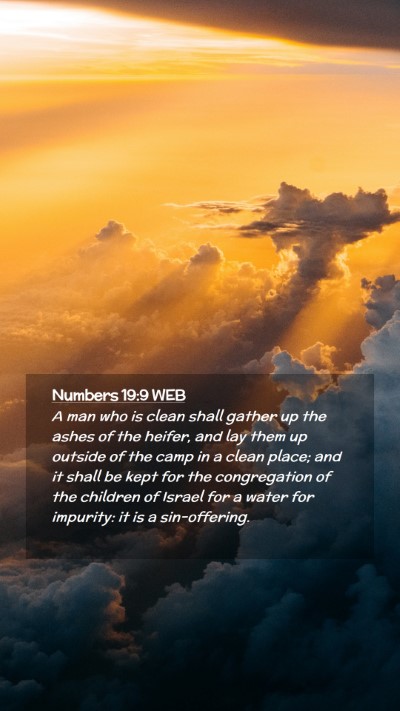 Picture 02 - Numbers 19:9 WEB Mobile Phone Wallpaper - A man who is clean shall gather up the ashes of - Mobile Bible Verse Wallpaper