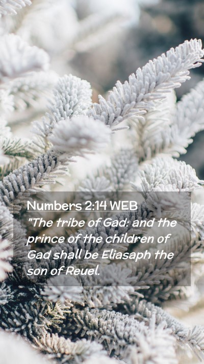Picture 02 - Numbers 2:14 WEB Mobile Phone Wallpaper - 