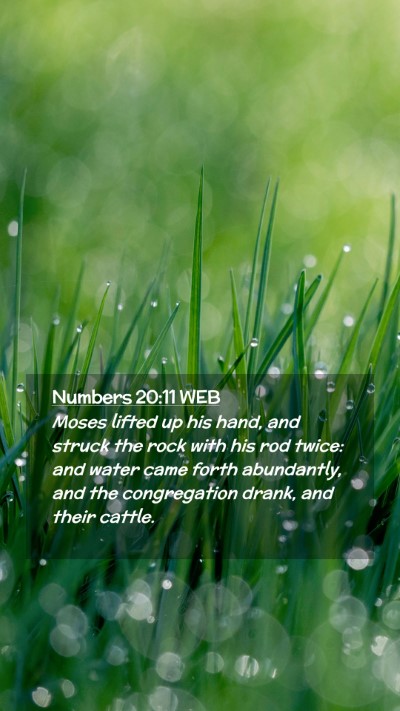 Picture 02 - Numbers 20:11 WEB Mobile Phone Wallpaper - Moses lifted up his hand, and struck the rock - Mobile Bible Verse Wallpaper