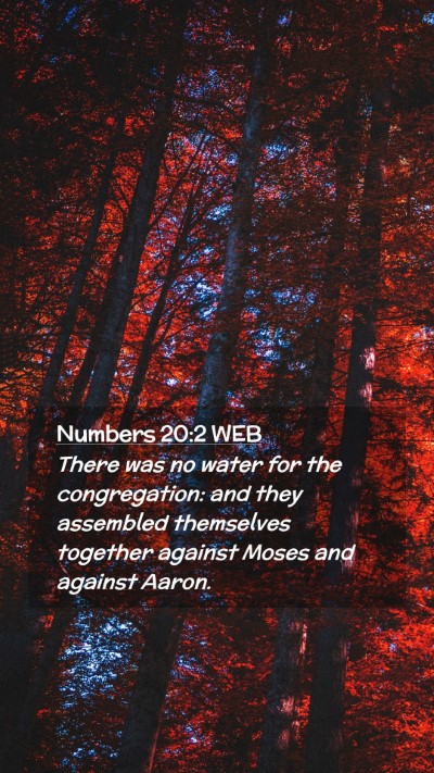 Picture 02 - Numbers 20:2 WEB Mobile Phone Wallpaper - There was no water for the congregation: and they - Mobile Bible Verse Wallpaper