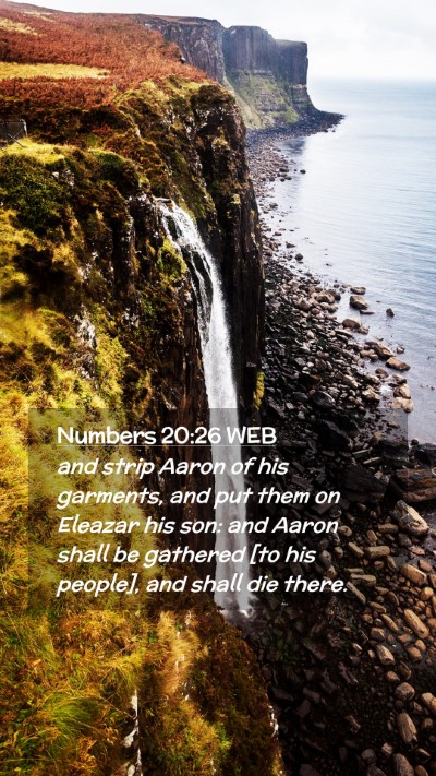Picture 02 - Numbers 20:26 WEB Mobile Phone Wallpaper - and strip Aaron of his garments, and put them on - Mobile Bible Verse Wallpaper