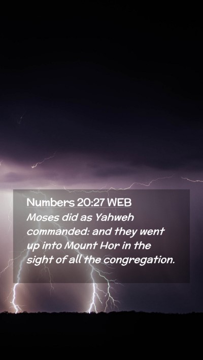 Picture 02 - Numbers 20:27 WEB Mobile Phone Wallpaper - Moses did as Yahweh commanded: and they went up - Mobile Bible Verse Wallpaper