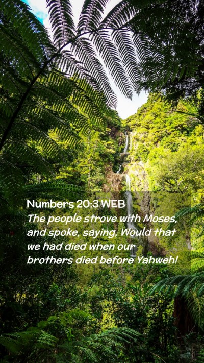 Picture 02 - Numbers 20:3 WEB Mobile Phone Wallpaper - The people strove with Moses, and spoke, saying, - Mobile Bible Verse Wallpaper