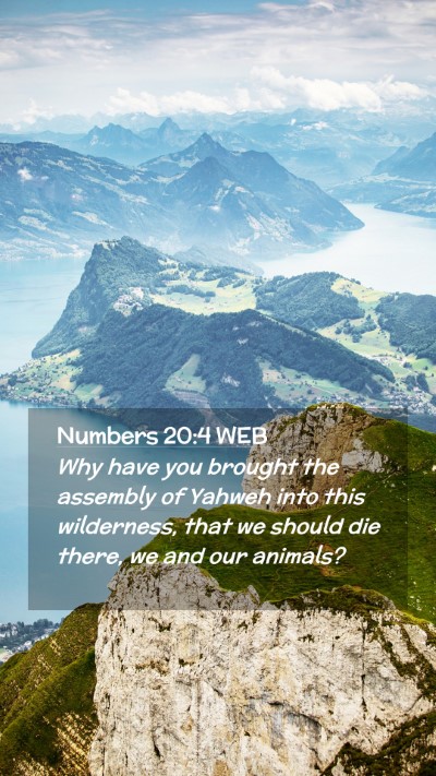 Picture 02 - Numbers 20:4 WEB Mobile Phone Wallpaper - Why have you brought the assembly of Yahweh into - Mobile Bible Verse Wallpaper
