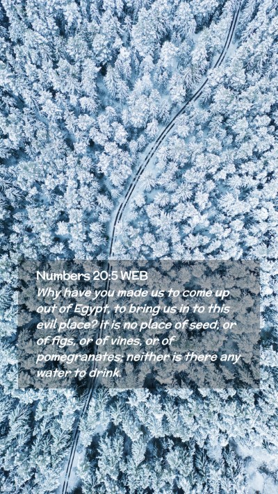 Picture 02 - Numbers 20:5 WEB Mobile Phone Wallpaper - Why have you made us to come up out of Egypt, to - Mobile Bible Verse Wallpaper