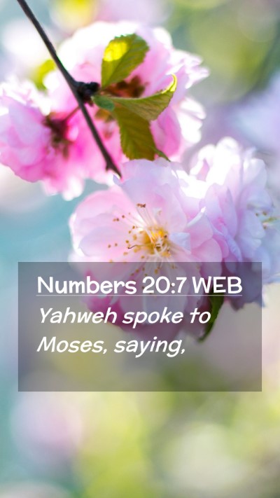 Picture 02 - Numbers 20:7 WEB Mobile Phone Wallpaper - Yahweh spoke to Moses, - Mobile Bible Verse Wallpaper