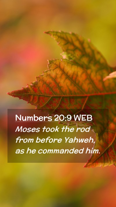 Picture 02 - Numbers 20:9 WEB Mobile Phone Wallpaper - Moses took the rod from before Yahweh, as he - Mobile Bible Verse Wallpaper