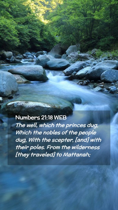 Picture 02 - Numbers 21:18 WEB Mobile Phone Wallpaper - The well, which the princes dug, Which the nobles - Mobile Bible Verse Wallpaper