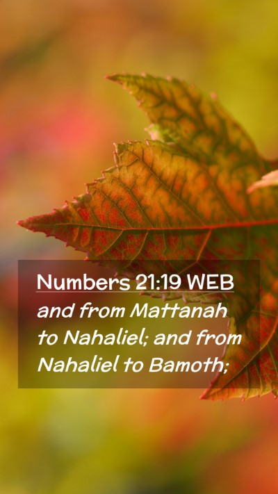 Picture 02 - Numbers 21:19 WEB Mobile Phone Wallpaper - and from Mattanah to Nahaliel; and from Nahaliel - Mobile Bible Verse Wallpaper