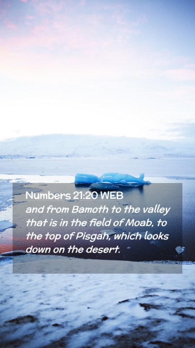 Picture 02 - Numbers 21:20 WEB Mobile Phone Wallpaper - and from Bamoth to the valley that is in the - Mobile Bible Verse Wallpaper