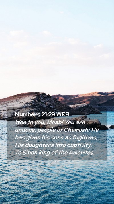 Picture 02 - Numbers 21:29 WEB Mobile Phone Wallpaper - Woe to you, Moab! You are undone, people of - Mobile Bible Verse Wallpaper