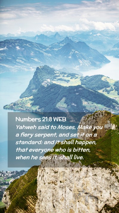 Picture 02 - Numbers 21:8 WEB Mobile Phone Wallpaper - Yahweh said to Moses, Make you a fiery serpent, - Mobile Bible Verse Wallpaper