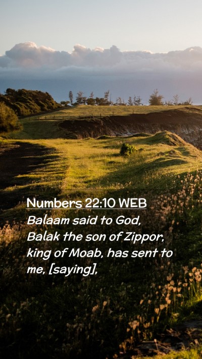 Picture 02 - Numbers 22:10 WEB Mobile Phone Wallpaper - Balaam said to God, Balak the son of Zippor, king - Mobile Bible Verse Wallpaper