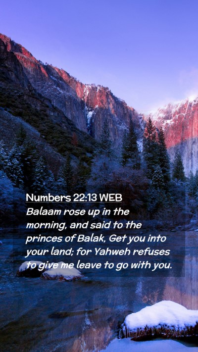 Picture 02 - Numbers 22:13 WEB Mobile Phone Wallpaper - Balaam rose up in the morning, and said to the - Mobile Bible Verse Wallpaper