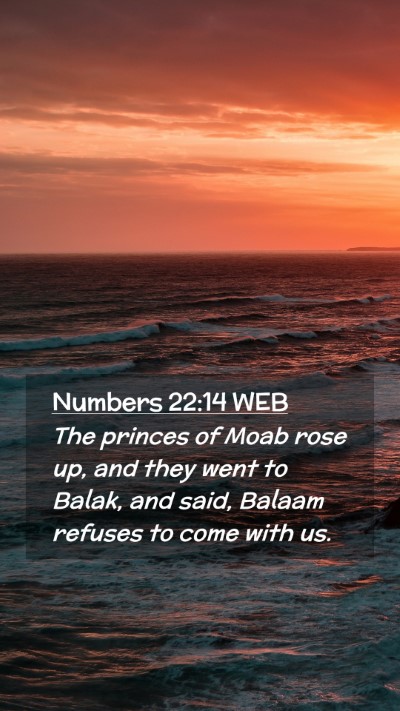 Picture 02 - Numbers 22:14 WEB Mobile Phone Wallpaper - The princes of Moab rose up, and they went to - Mobile Bible Verse Wallpaper