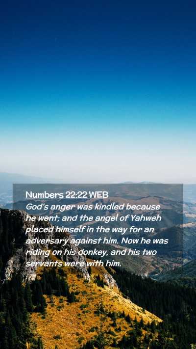 Picture 02 - Numbers 22:22 WEB Mobile Phone Wallpaper - God's anger was kindled because he went; and the - Mobile Bible Verse Wallpaper
