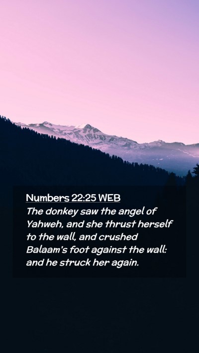 Picture 02 - Numbers 22:25 WEB Mobile Phone Wallpaper - The donkey saw the angel of Yahweh, and she - Mobile Bible Verse Wallpaper