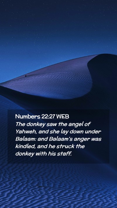 Picture 02 - Numbers 22:27 WEB Mobile Phone Wallpaper - The donkey saw the angel of Yahweh, and she lay - Mobile Bible Verse Wallpaper