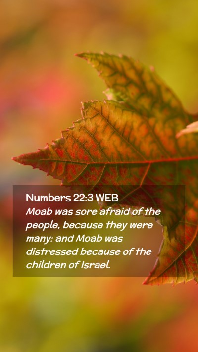 Picture 02 - Numbers 22:3 WEB Mobile Phone Wallpaper - Moab was sore afraid of the people, because they - Mobile Bible Verse Wallpaper