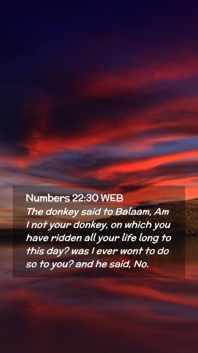 Picture 02 - Numbers 22:30 WEB Mobile Phone Wallpaper - The donkey said to Balaam, Am I not your donkey, - Mobile Bible Verse Wallpaper